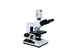 偏光相差顯微鏡在高分子科學領域的應用——以復旦大學高分子科學系為例